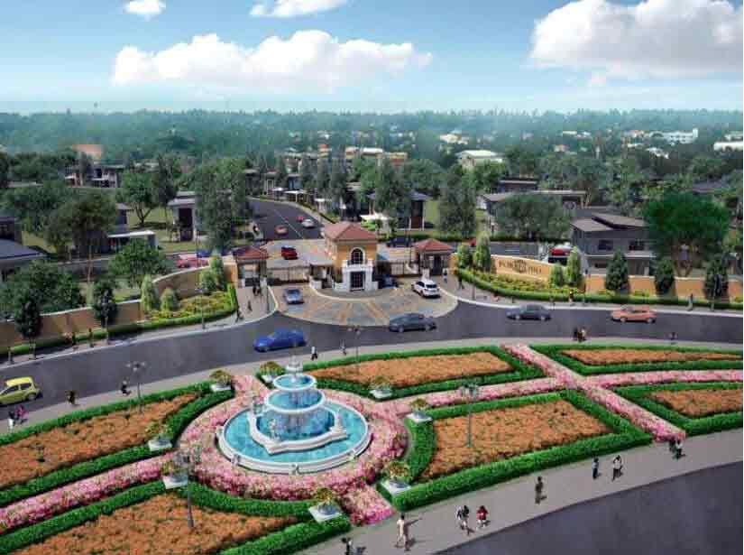 The Fountain Grove